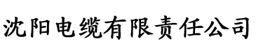 懂色影视电缆厂logo